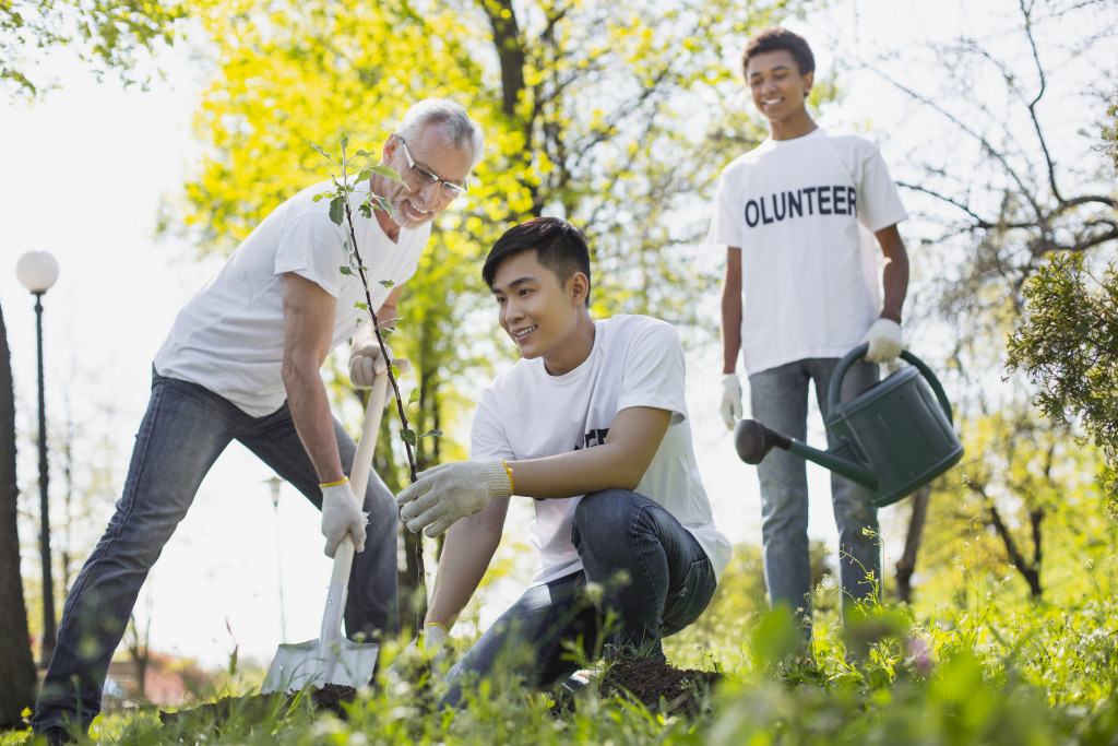 tree planting volunteers